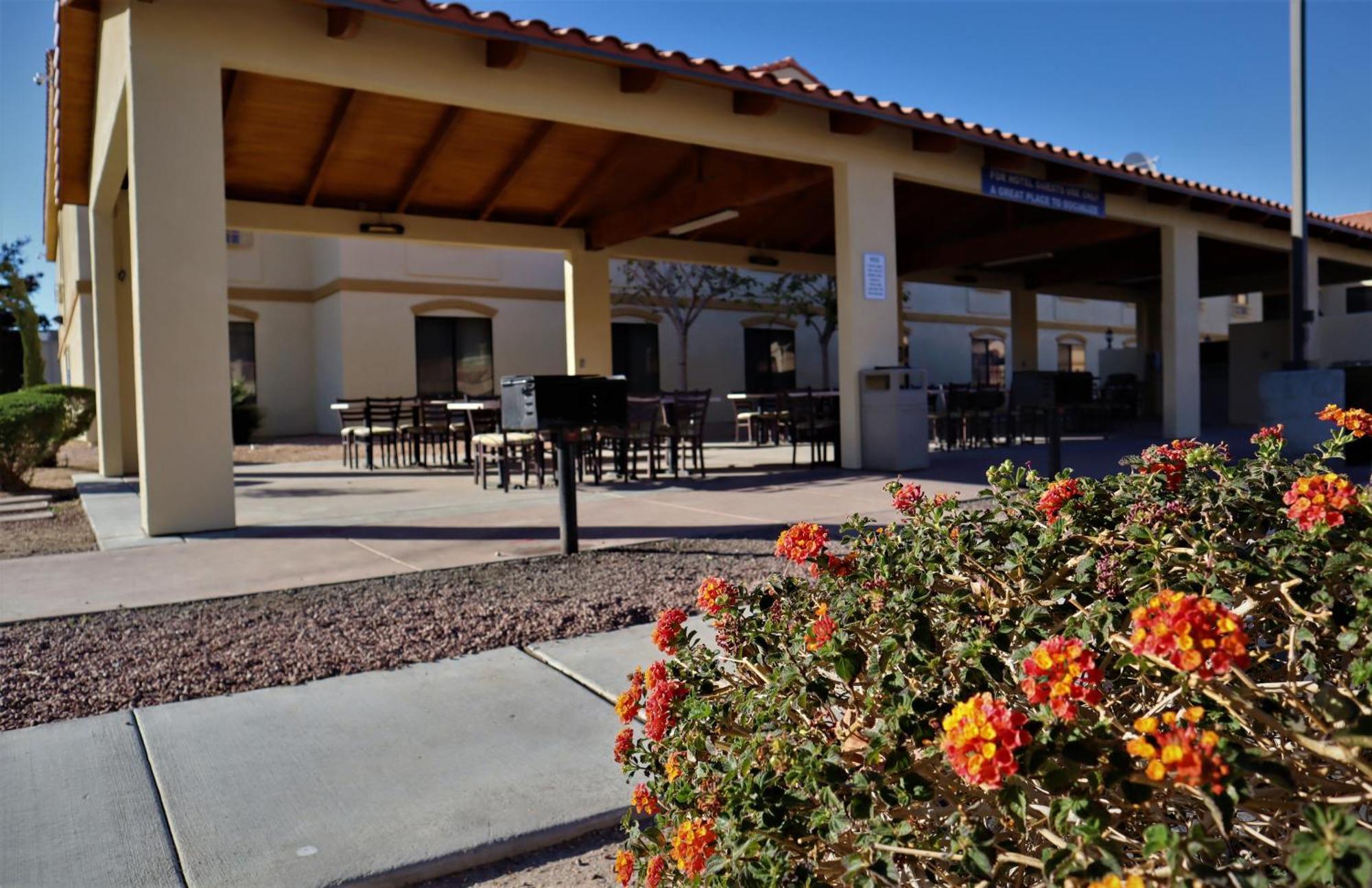 Oasis Inn And Suites 29 Palms Hotel Joshua Tree National Park Туентінайн-Палмс Екстер'єр фото